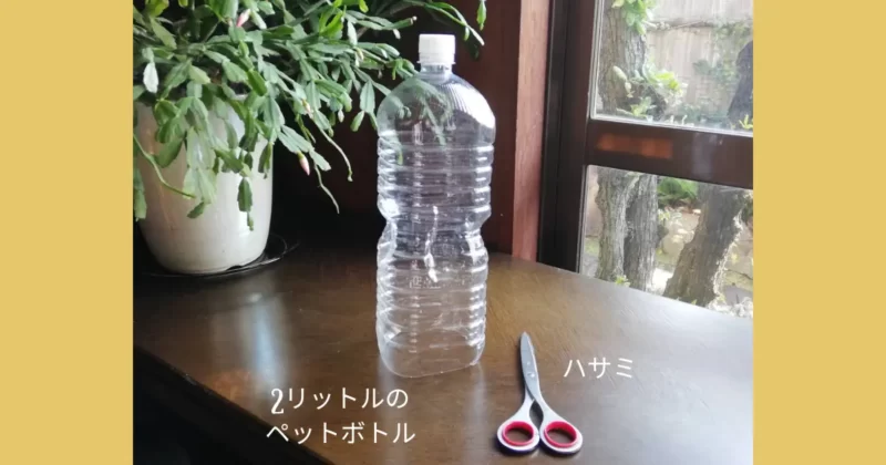 空きペットボトルとハサミ