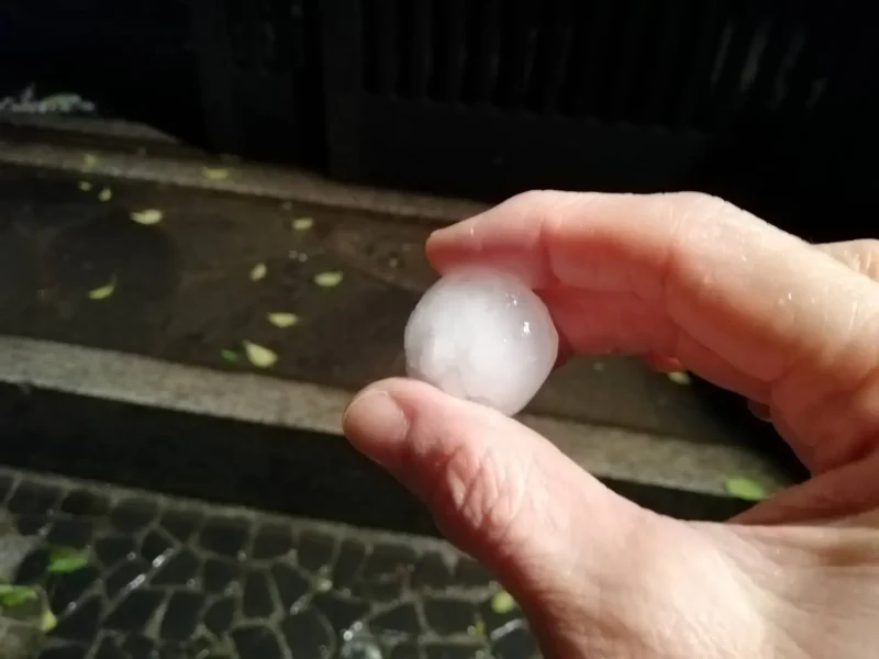 雹の大きさ