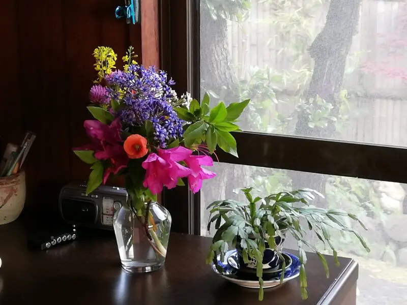ある日の花束