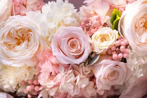 バラの花