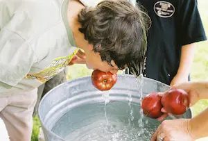 Apple bobbing